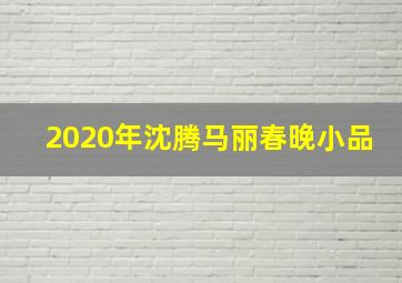 2020年沈腾马丽春晚小品