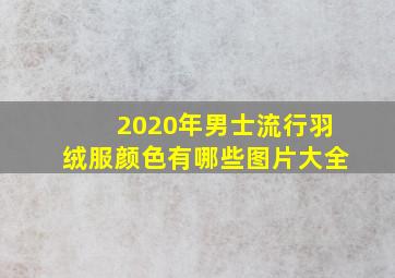 2020年男士流行羽绒服颜色有哪些图片大全