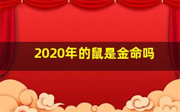 2020年的鼠是金命吗