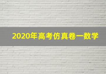 2020年高考仿真卷一数学