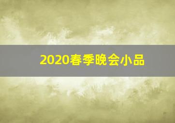 2020春季晚会小品