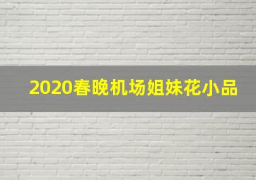 2020春晚机场姐妹花小品