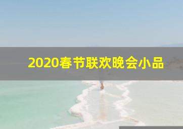 2020春节联欢晚会小品