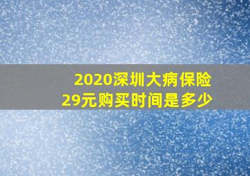 2020深圳大病保险29元购买时间是多少