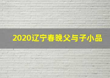 2020辽宁春晚父与子小品