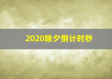 2020除夕倒计时秒