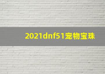 2021dnf51宠物宝珠