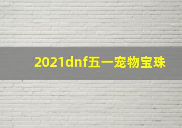 2021dnf五一宠物宝珠