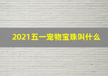 2021五一宠物宝珠叫什么