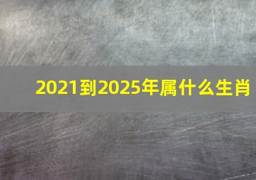 2021到2025年属什么生肖