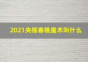 2021央视春晚魔术叫什么