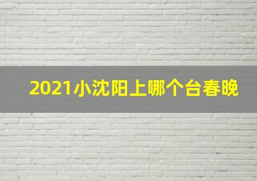 2021小沈阳上哪个台春晚