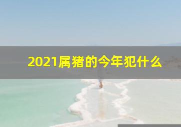 2021属猪的今年犯什么