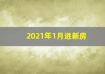 2021年1月进新房