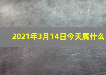 2021年3月14日今天属什么