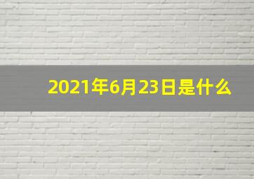 2021年6月23日是什么