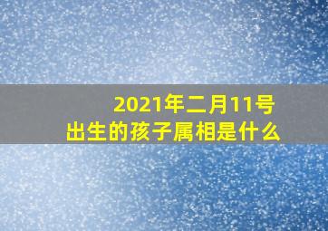 2021年二月11号出生的孩子属相是什么