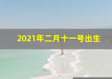 2021年二月十一号出生