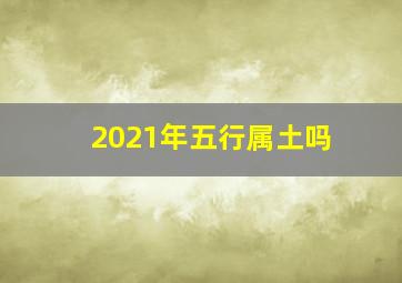 2021年五行属土吗