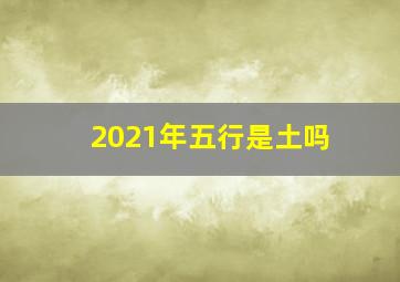 2021年五行是土吗