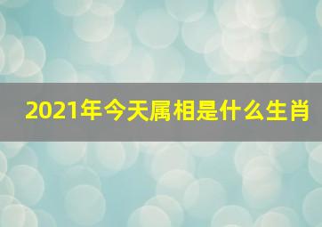 2021年今天属相是什么生肖