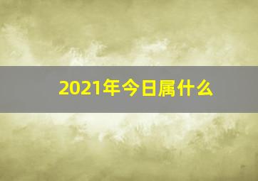 2021年今日属什么