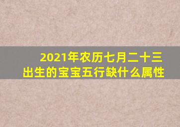 2021年农历七月二十三出生的宝宝五行缺什么属性