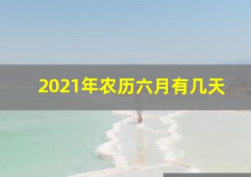 2021年农历六月有几天