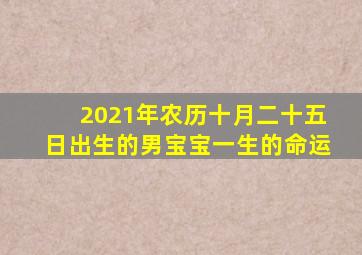 2021年农历十月二十五日出生的男宝宝一生的命运