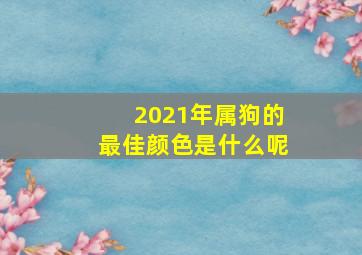 2021年属狗的最佳颜色是什么呢