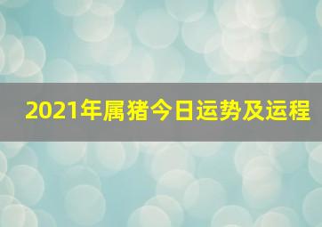 2021年属猪今日运势及运程