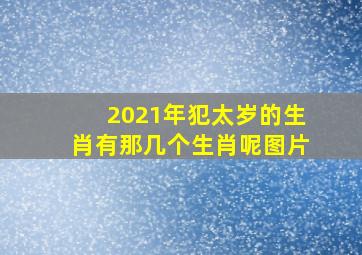 2021年犯太岁的生肖有那几个生肖呢图片