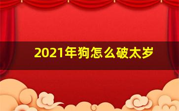 2021年狗怎么破太岁