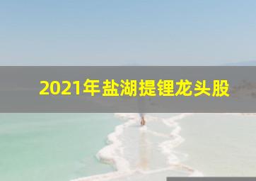 2021年盐湖提锂龙头股