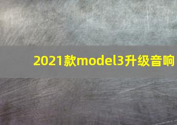 2021款model3升级音响