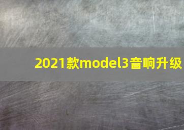 2021款model3音响升级