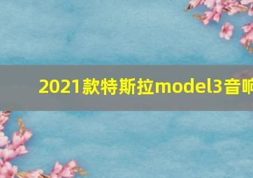 2021款特斯拉model3音响