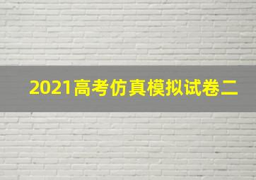 2021高考仿真模拟试卷二