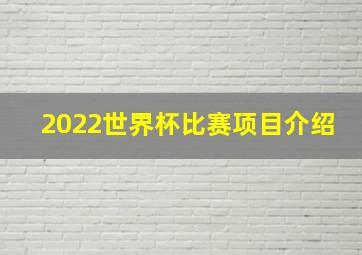 2022世界杯比赛项目介绍