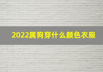 2022属狗穿什么颜色衣服