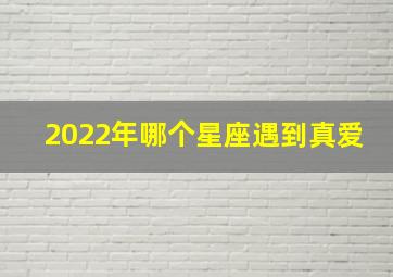 2022年哪个星座遇到真爱