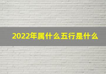 2022年属什么五行是什么