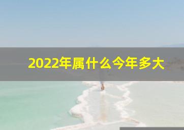 2022年属什么今年多大