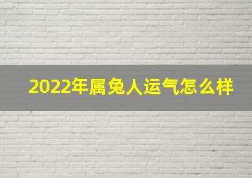 2022年属兔人运气怎么样