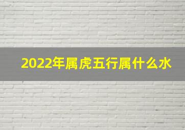 2022年属虎五行属什么水