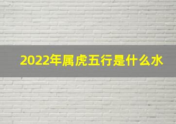 2022年属虎五行是什么水