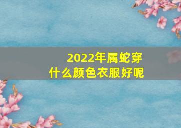 2022年属蛇穿什么颜色衣服好呢