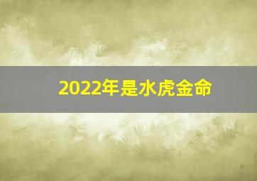 2022年是水虎金命