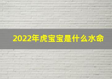 2022年虎宝宝是什么水命