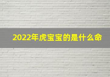 2022年虎宝宝的是什么命